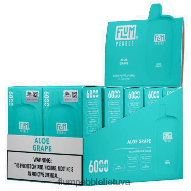 FLUM PEBBLES 6000 išpūtimų 10 pakelių alavijo vynuogių D24TT23 Flum Pebble Vape Lietuva