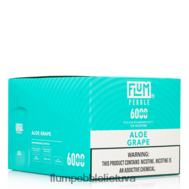 FLUM PEBBLES 6000 išpūtimų 10 pakelių alavijo vynuogių D24TT23 Flum Pebble Vape Lietuva