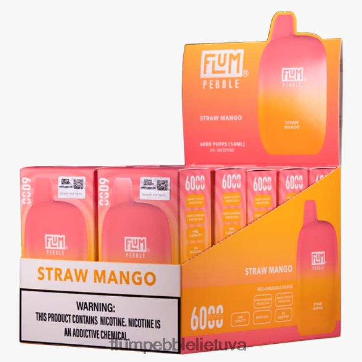 FLUM PEBBLES 6000 išpūtimų 10 pakelių šiaudų mango D24TT269 Flum Float Vape Near Me
