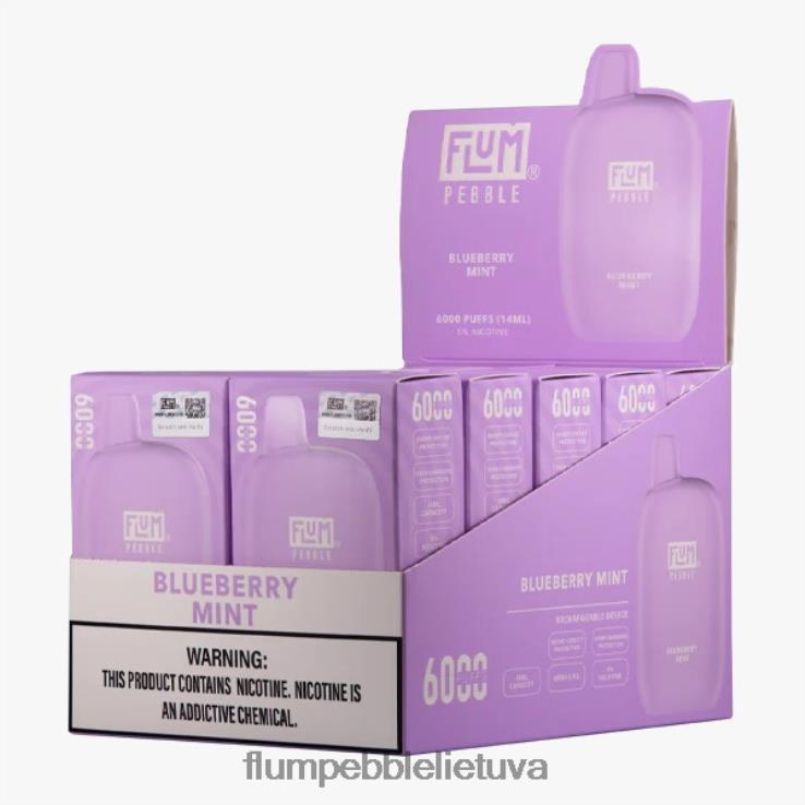 FLUM PEBBLES 6000 išpūtimų 10 pakelių mėlynių mėtų D24TT218 Flum Float Flavors
