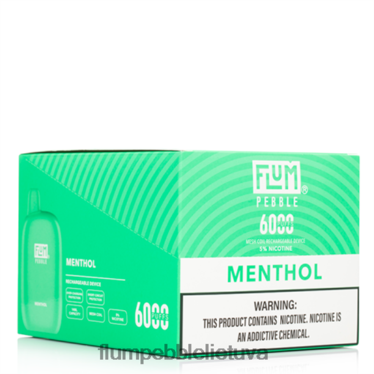 FLUM PEBBLES 6000 išpūtimų 10 pakelių mentolis D24TT258 Flum Float Flavors
