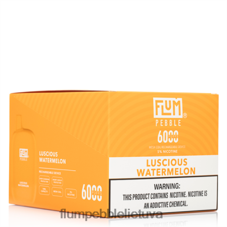 FLUM PEBBLES 6000 išpūtimų 10 pakelių saldus arbūzas D24TT251 Flum Pebble Lietuva