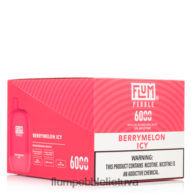 FLUM PEBBLES 6000 išpūtimų 10 pakelių uogų melionas ledinis D24TT28 Flum Float Flavors