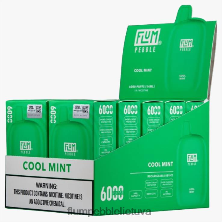 FLUM PEBBLES 6000 išpūtimų 10 pakelių vėsios mėtos D24TT226 Flum Pebble Flavors Ranked