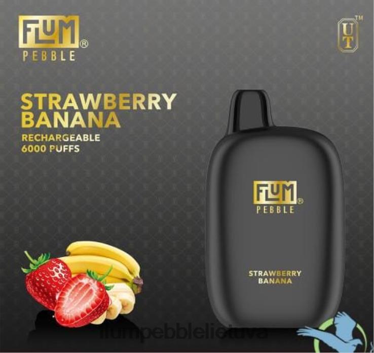 FLUM PEBBLES 6000 išpūtimų braškinis bananas D24TT270 Flum Pebble Price