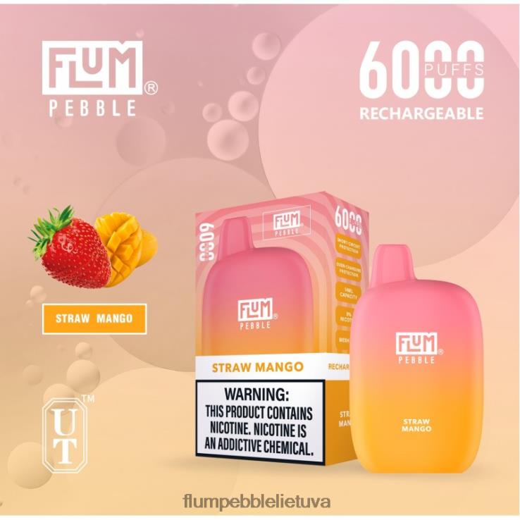 FLUM PEBBLES 6000 išpūtimų šiaudų mango D24TT268 Flum Float Flavors