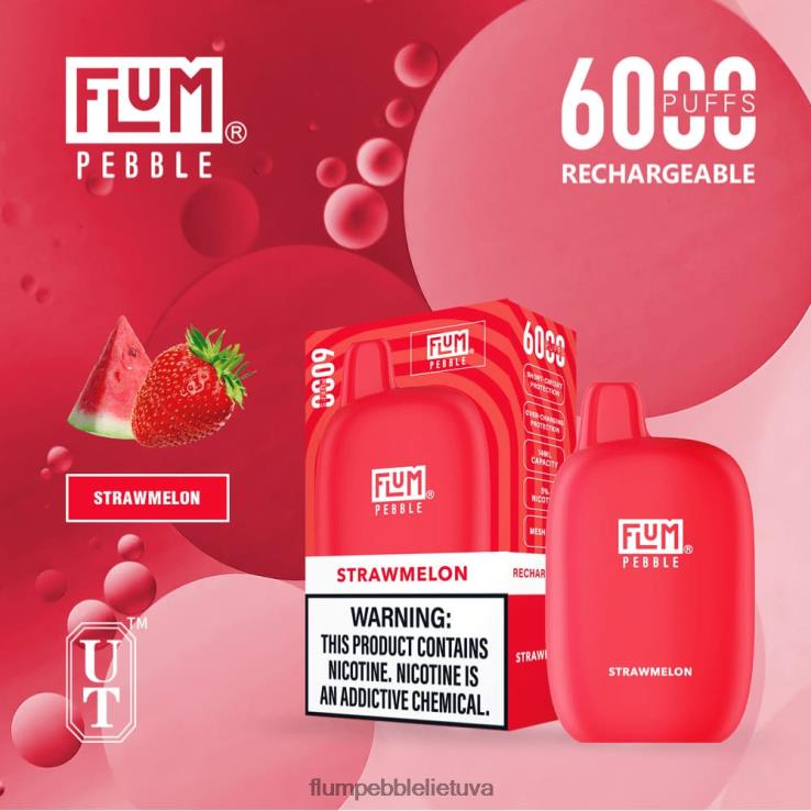 FLUM PEBBLES 6000 išpūtimų šiaudinis melionas D24TT276 Flum Pebble Flavors Ranked