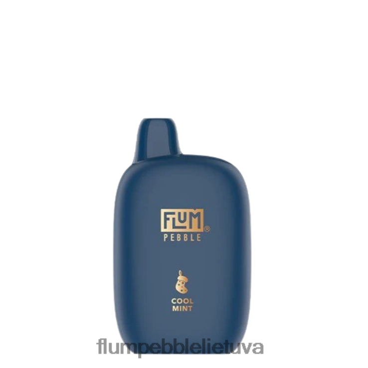 FLUM PEBBLES 6000 išpūtimų (kalėdinis leidimas) vėsios mėtos D24TT234 Flum Pebble Flavors