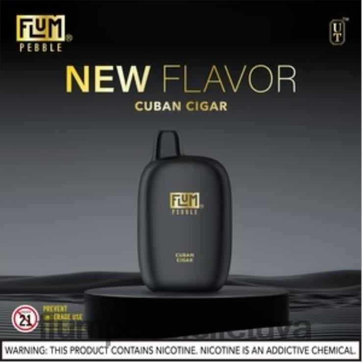 FLUM PEBBLES 6000 išpūtimų kubietiškas cigaras D24TT229 Flum Float Vape Near Me
