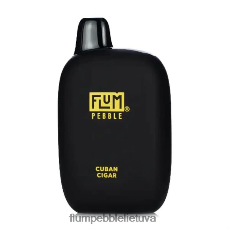 FLUM PEBBLES 6000 išpūtimų kubietiškas cigaras D24TT229 Flum Float Vape Near Me