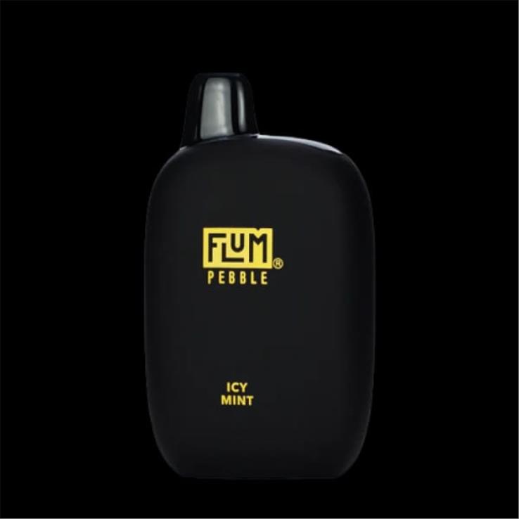 FLUM PEBBLES 6000 išpūtimų ledinė mėta D24TT249 Flum Float Vape Near Me
