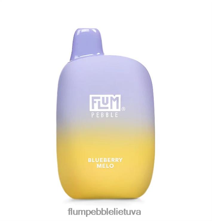 FLUM PEBBLES 6000 išpūtimų mėlynių melo D24TT216 Flum Pebble Flavors Ranked