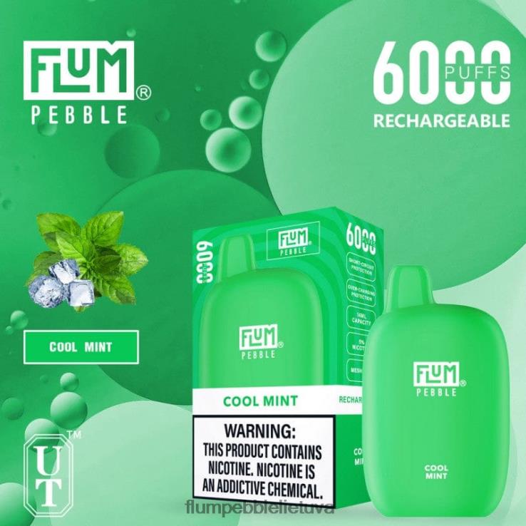 FLUM PEBBLES 6000 išpūtimų vėsios mėtos D24TT224 Flum Pebble Flavors