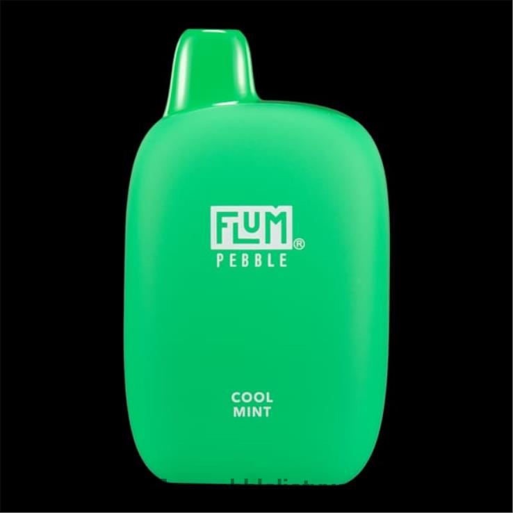 FLUM PEBBLES 6000 išpūtimų vėsios mėtos D24TT224 Flum Pebble Flavors