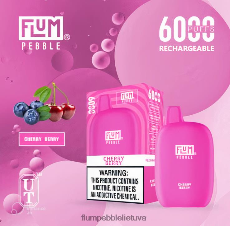 FLUM PEBBLES 6000 išpūtimų vyšnių uogos D24TT220 Flum Pebble Price