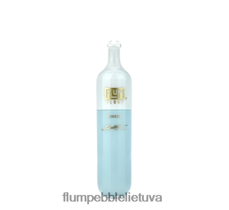FLUM FLOAT 3000 išpūtimų vėjas D24TT219 Flum Float Vape Near Me